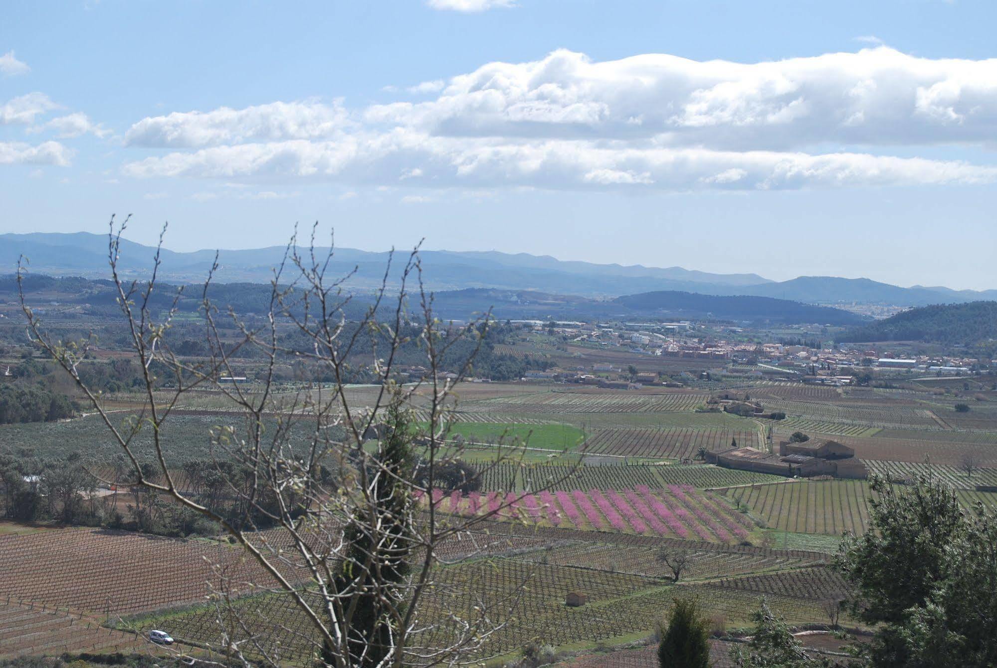 Arianel.la B&B Penedes Torrellas de Foix Luaran gambar